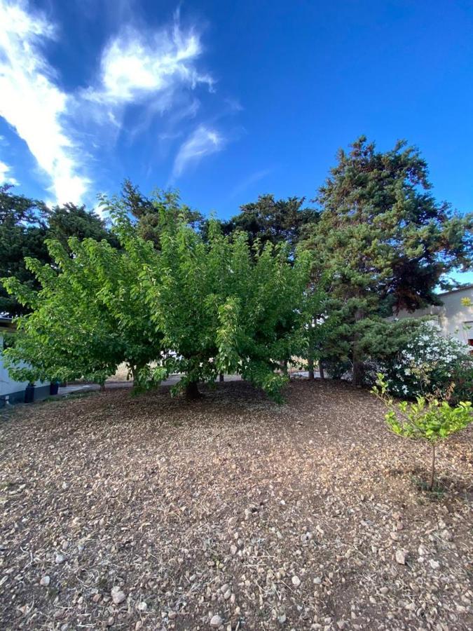 La Casa Del Gelso Apartment Tonnara di Bonagia Bagian luar foto