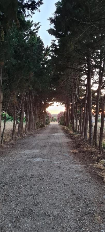 La Casa Del Gelso Apartment Tonnara di Bonagia Bagian luar foto