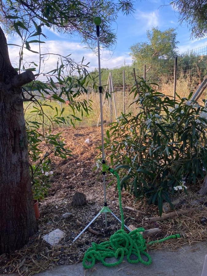 La Casa Del Gelso Apartment Tonnara di Bonagia Bagian luar foto