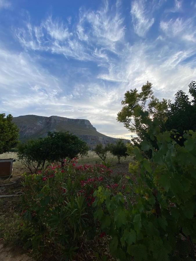 La Casa Del Gelso Apartment Tonnara di Bonagia Bagian luar foto