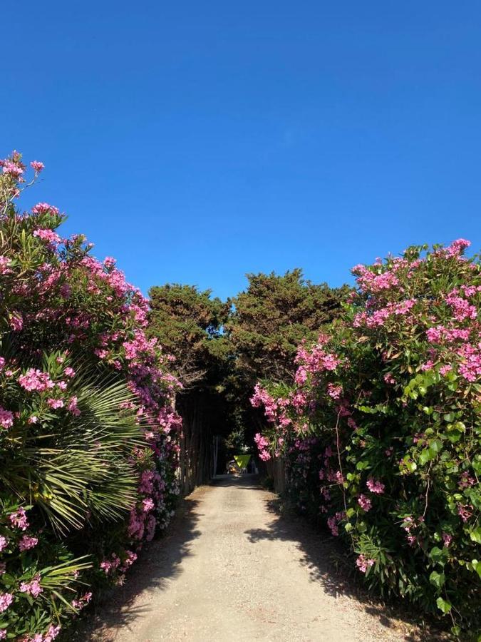 La Casa Del Gelso Apartment Tonnara di Bonagia Bagian luar foto